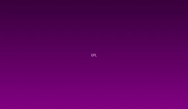 熊猫体育与英超联赛官方合作